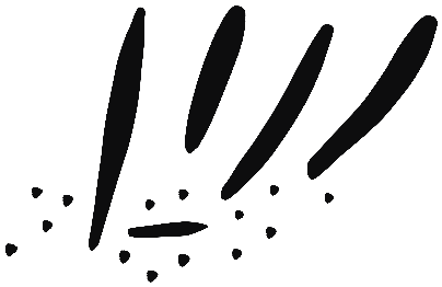 Image of the occurrence